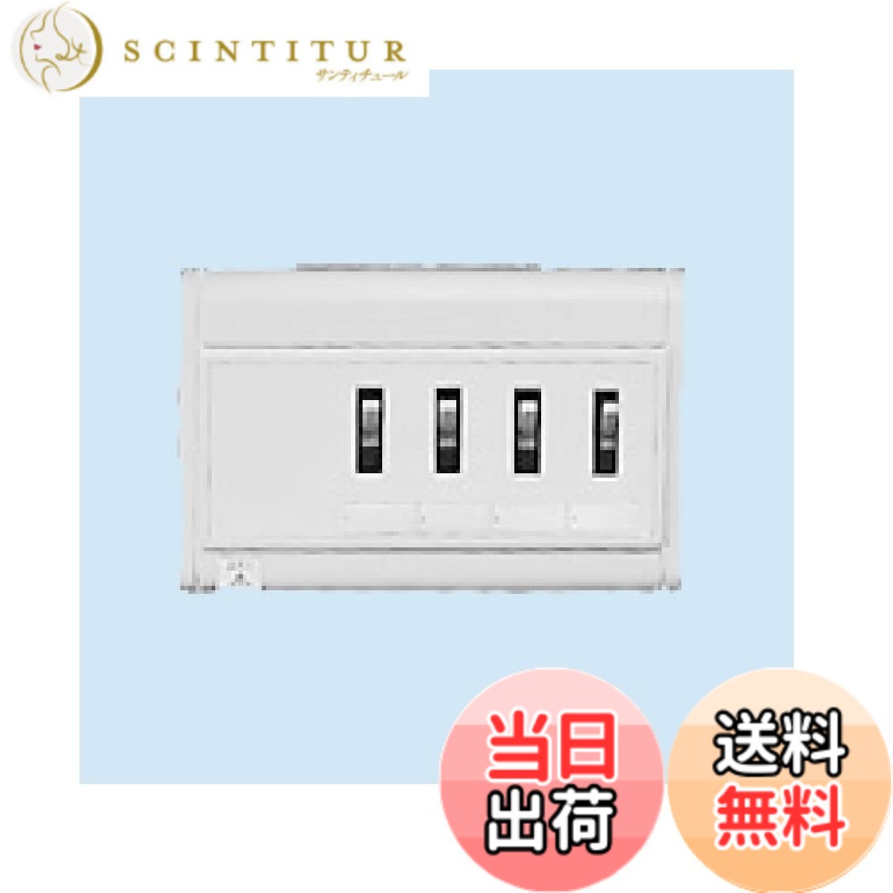【送料無料】日東工業 HP形ホーム分電盤(HPAHSA) HSAT-L10