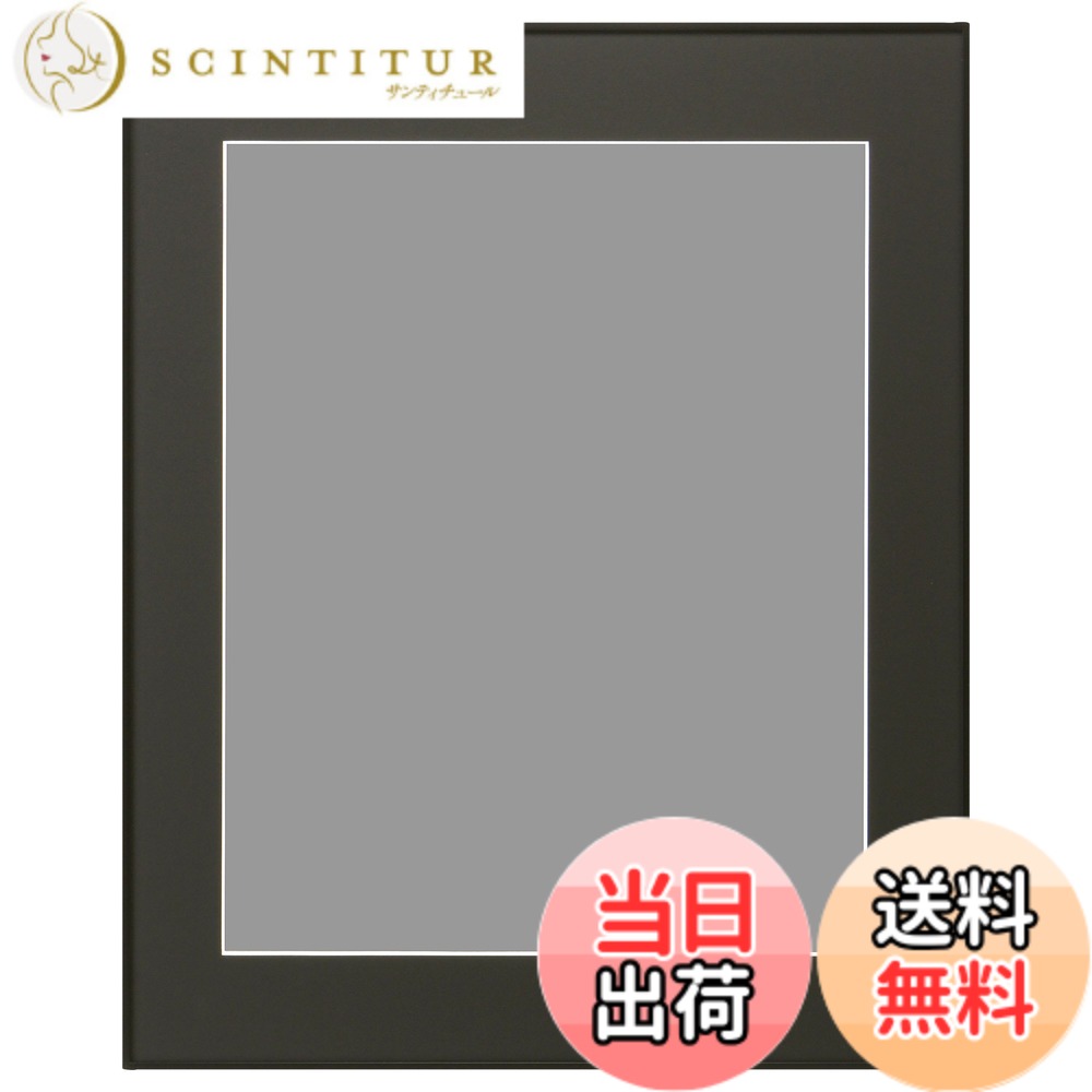 【送料無料】ハクバ HAKUBA 額縁 アルミ HFA-03 全紙 アクリル板 ブラック HFA-03-Z