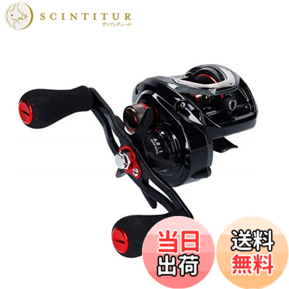 【送料無料】ダイワ(DAIWA) フネ X 100H 両軸リール｜サンティチュール