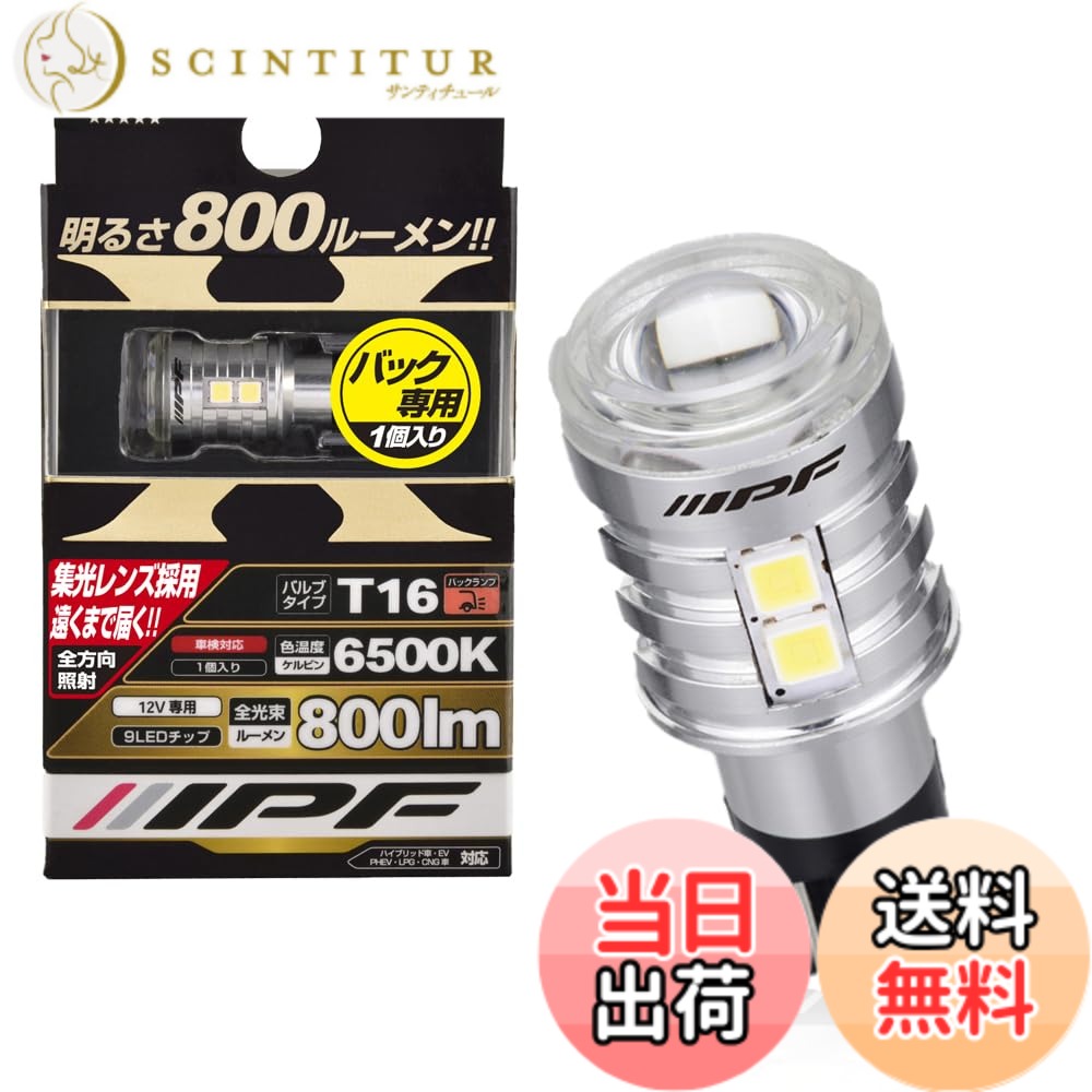 【送料無料】IPF バックランプ LED 車用 T16 800lm 6500K ホワイト 12V用 1本入 車検対応 ノイズ対策済 ハイスペックモデル 集光レンズ採用 503BL