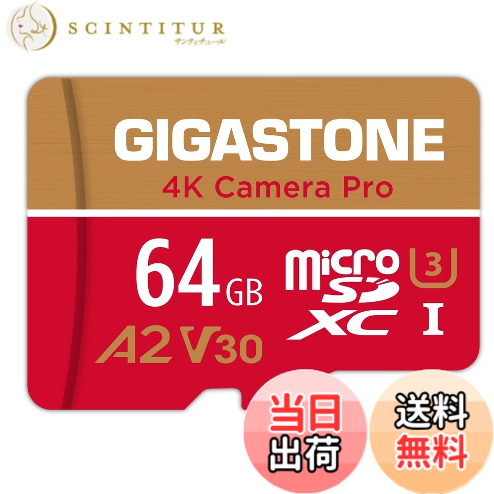 【貨物輸送無料】【5年見聞立てなおす・無償取り替えっこ】GIGASTONE マイクロsd歌留多 64GB 4K Camera Pro microSDXC UHS-I A2 V30 U3 C10 Ultra 固定ディスク 4K 映像媒体録画 Gopro 行動写真機 運動競技写真機 95MB/s SDアダプタ1枚付き添い人