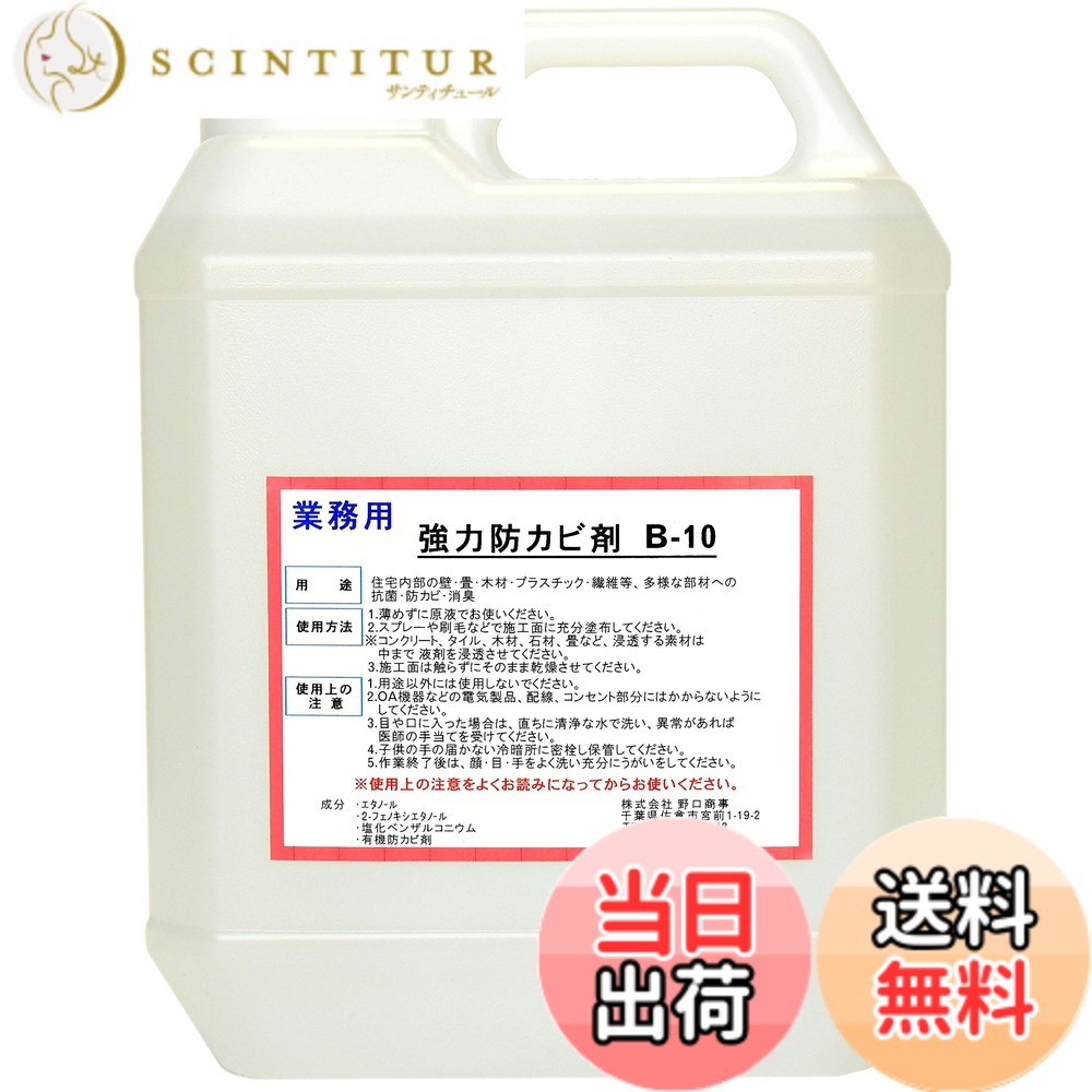 【送料無料】野口商事 最強パワー 強力 防カビ剤 【 B-10 ボトル 】 抗菌作用でがっちりカビ防止 【 お掃除 簡単 楽ちん 】 ボトル詰め替えタイプ 4000ml
