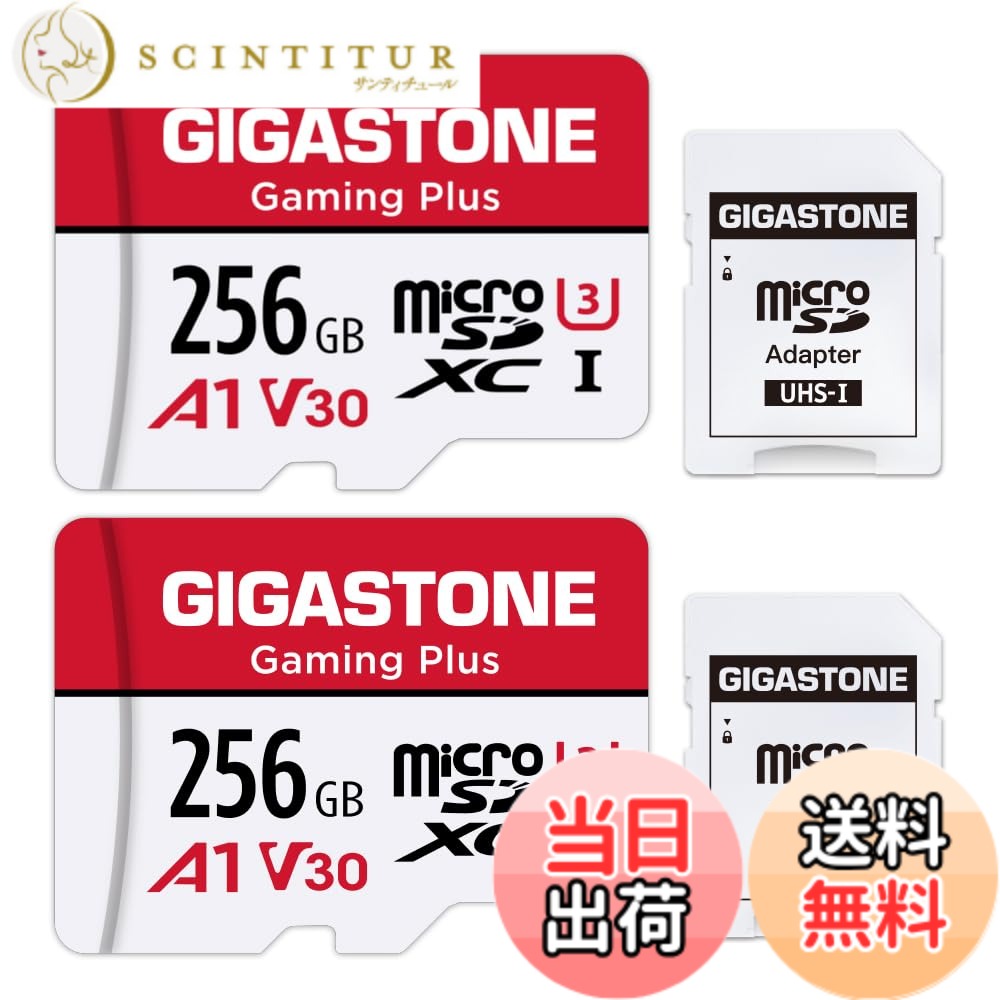 【送料無料】【Switch 1専用】 GIGASTONE マイクロsdカード 256GB 2個セット Gaming Plus microSDXC UHS-I A1 V30 U1 C10 4K UHD動画 100MB/s 高速 SDアダプター2枚付き【5年】 21,882円