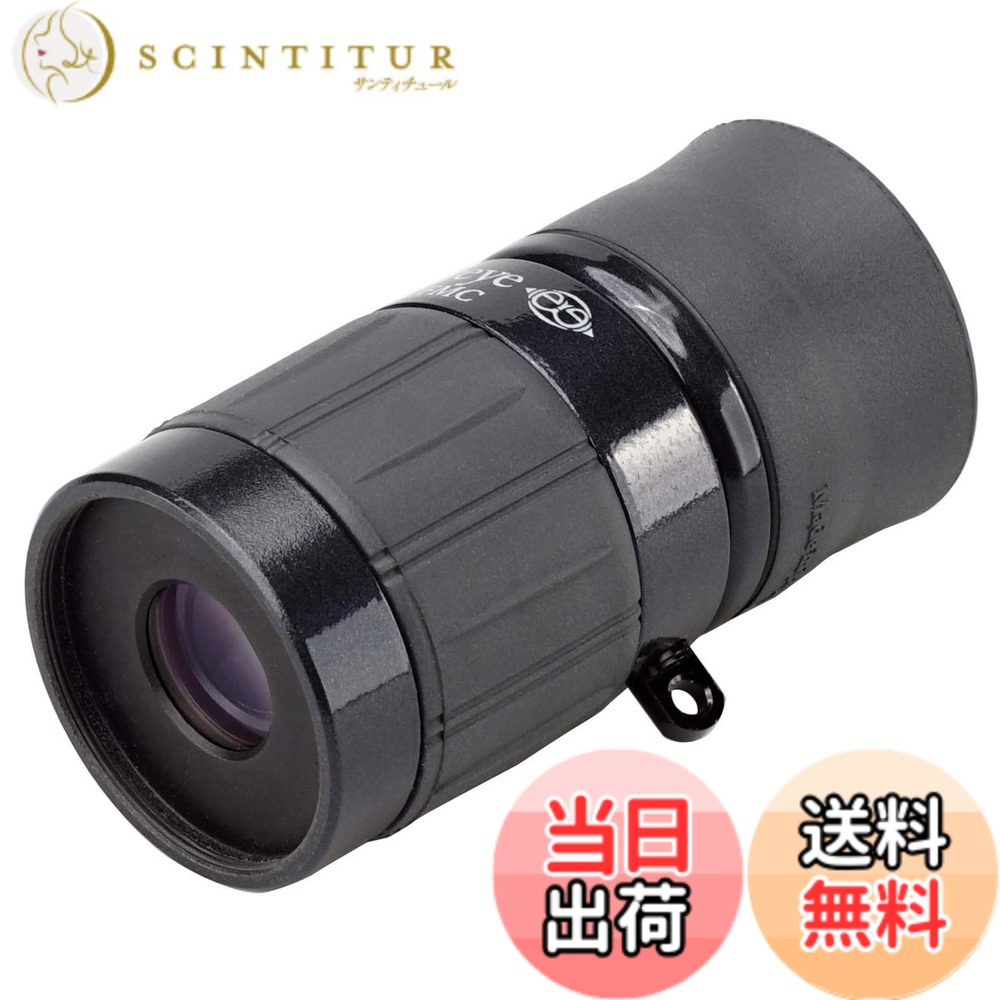 【送料無料】ケンコー(Kenko) 単眼鏡 ギャラリーEYE 4x12 4倍 12口径 最短合焦距離19cm フルマルチコーティング BLACK 日本製 001462|サンティチュール