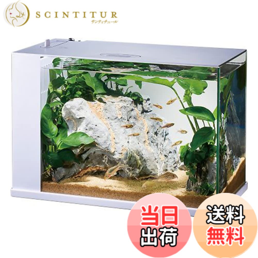 【貨物輸送無料】GEX AQUARIUM ラクテリア 水取り替えっこ飾り気の無い海洋博物館 水漉し・LED付き添い人 W34xD17.5xH24珊白いこと