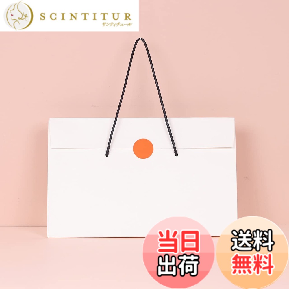 【送料無料】PAPERIST 10枚セット ふた付き ギフトバッグ 中さめサイズ 手提げ紙袋 シンプル紙袋 無地 贈答用 白 (32x20x11cm)