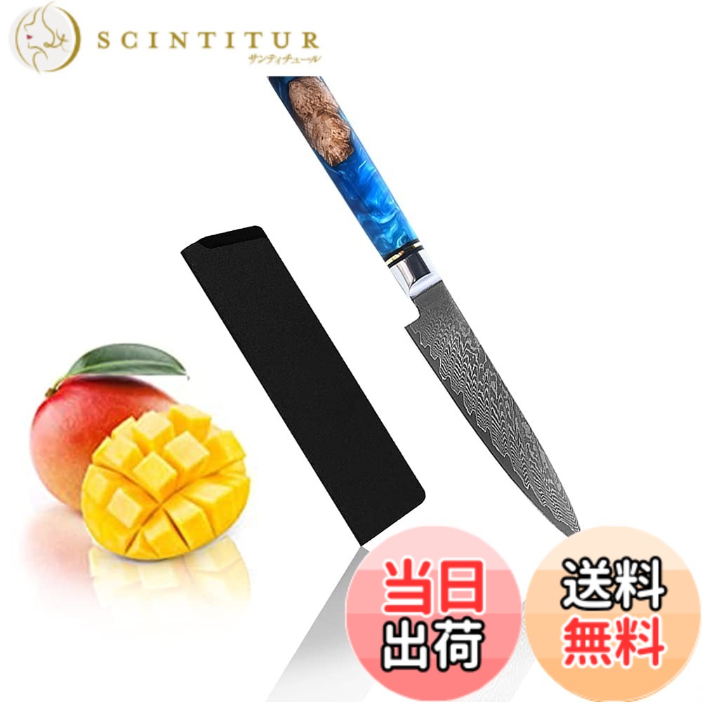 【送料無料】Utaki 高級ペティナイフ 万能ナイフ 刃渡り115ｍｍ アウトドア用可能 野菜 魚 果物 肉 寿司に最適です ダマスカス67層｜サンティチュール