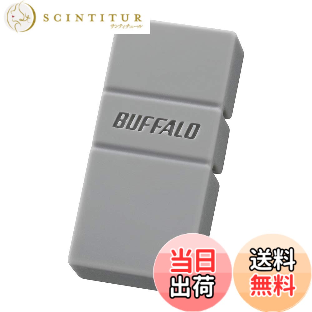 【送料無料】BUFFALO USB3.2(Gen1)TypeC-A対応USBメモリ 32GBグレー 【 iPhone 16 / 16 pro 動作確認済み 】RUF3-AC32G-GY
