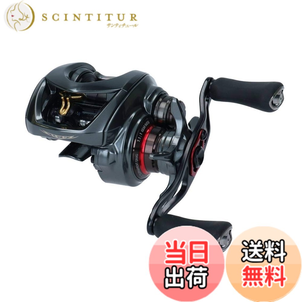 【送料無料】ダイワ(DAIWA) ベイトリール 19 スティーズ CT SV TW 700SHL(2019モデル)