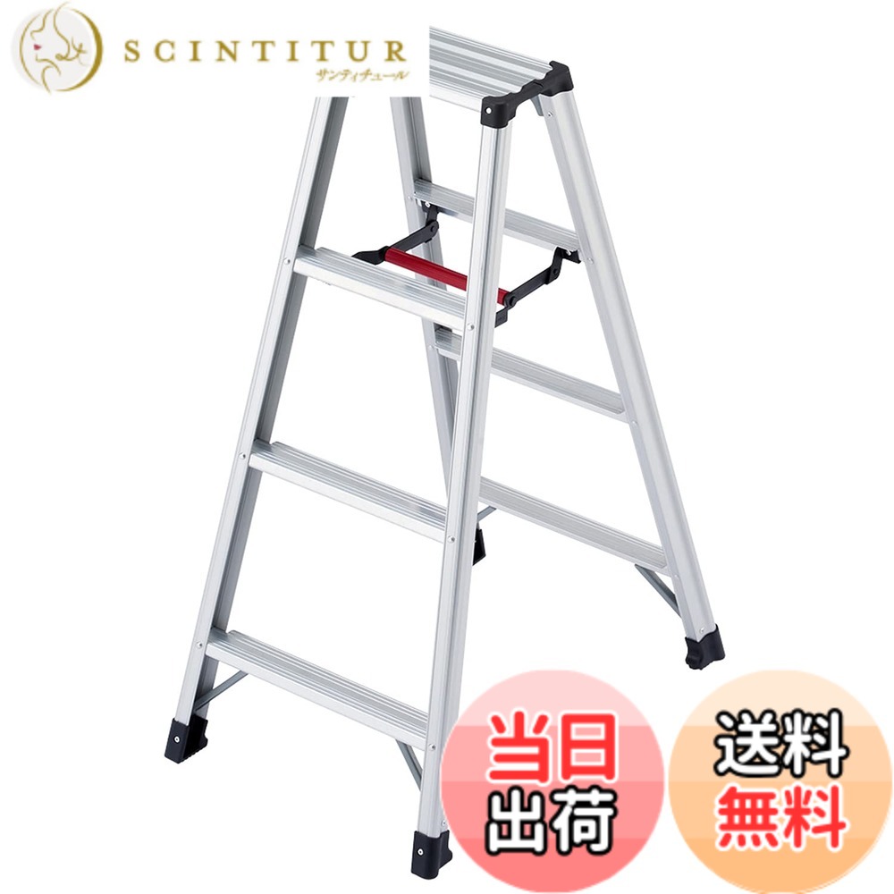 【送料無料】長谷川工業(Hasegawa) 専用脚立 脚軽 4段 RZ-12c (1.09m) (17756)｜サンティチュール