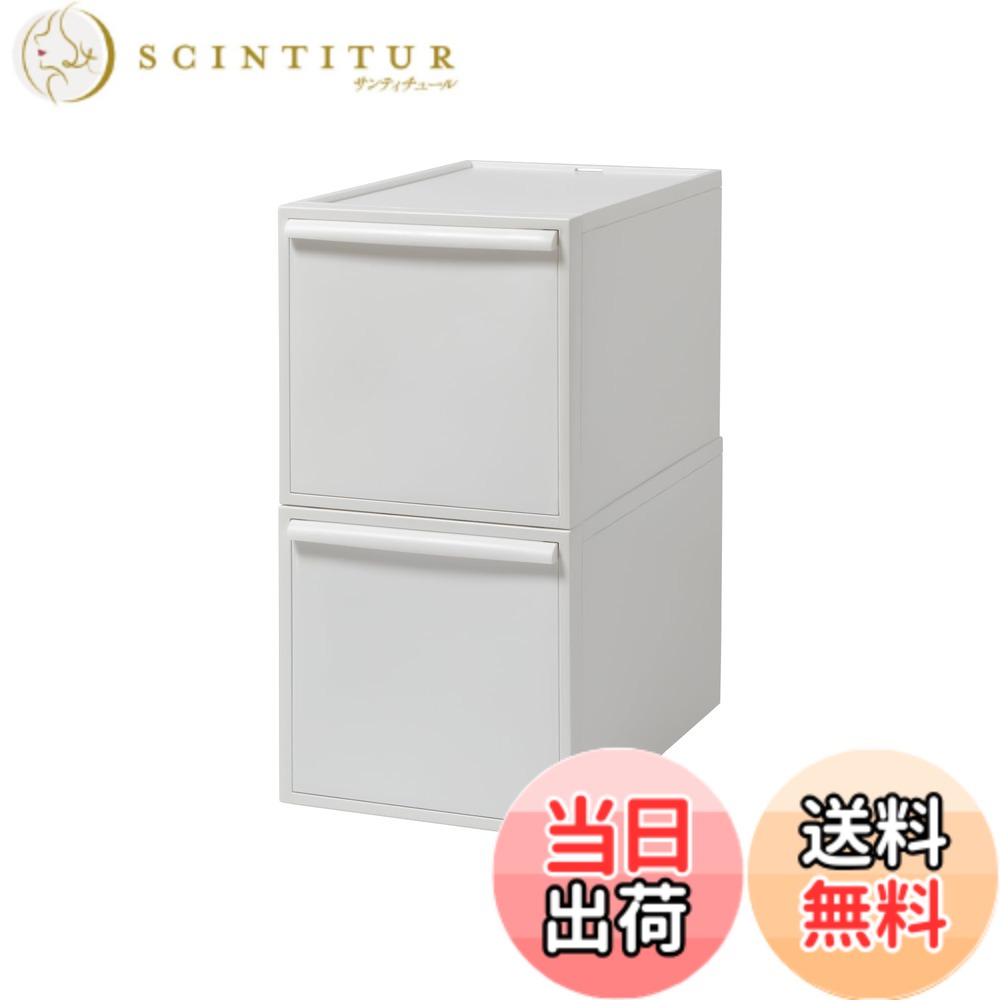 【送料無料】ライクイット (like-it) 収納ボックス 約幅32x奥52x高62.6cm 日本製 クローゼットシステム 引出し (L) 2個組 オールホワイト CS-D3 2P 累計販売数270万台突破