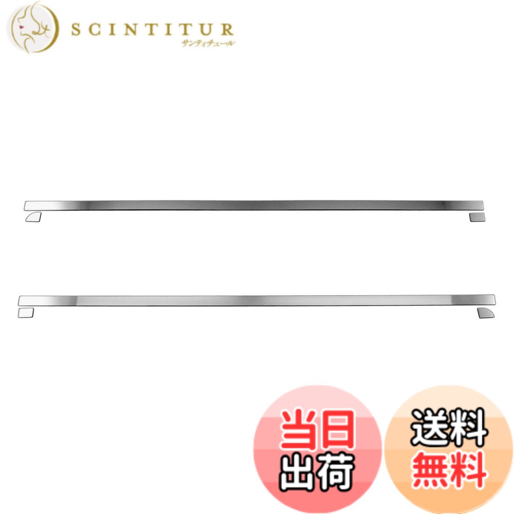 【送料無料】BRIGHTZ スクラムトラック DG16T 超鏡面ステンレスメッキサイドドアモール 6PC 【 SID－MOL－110 】 DG16 DG G16 16 スクラム トラック
