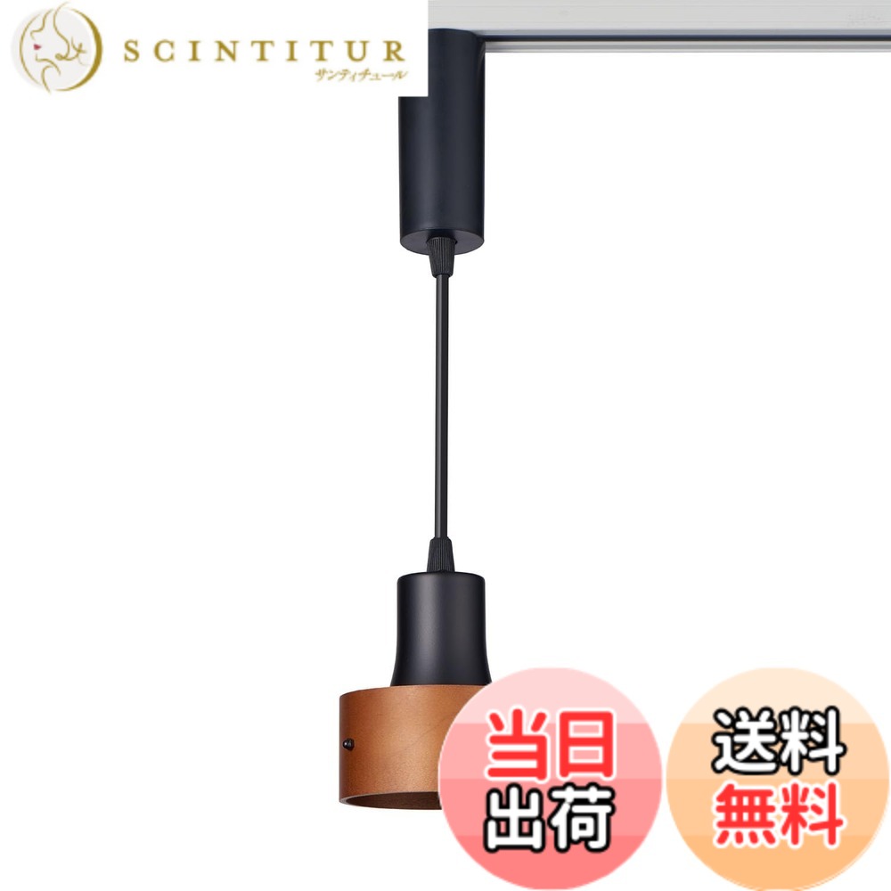 【貨物輸送無料】朝日電器 ELPA LEDライティングバー用点火装置 LRS-PW01L(BK)