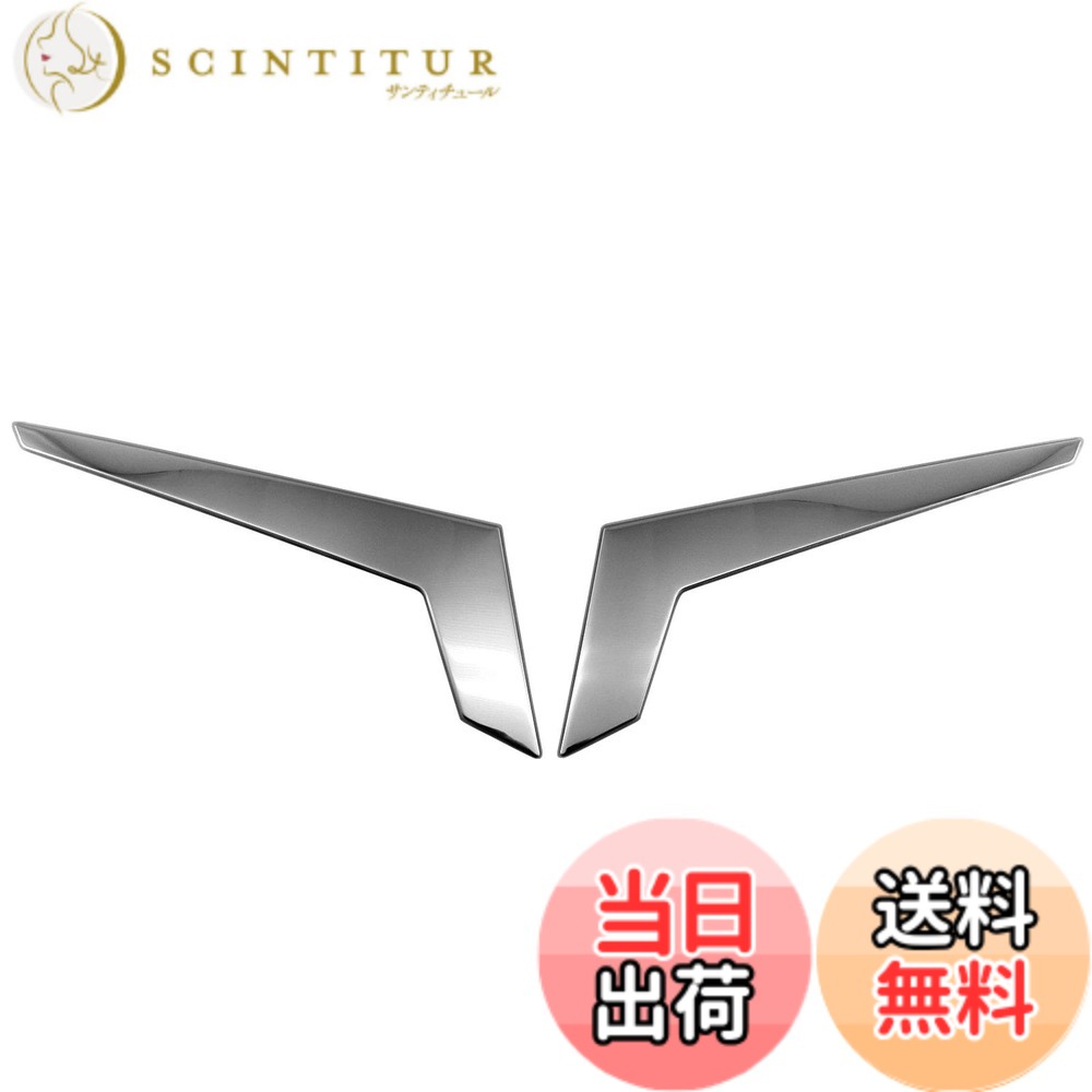 【送料無料】BRIGHTZ ルークス 44 45 47 48 超鏡面ステンレスメッキバックドアガーニッシュ 2PC 【 TRU－MOL－163 】 B44A B45A B47A B48A B44 B45 B47 B48