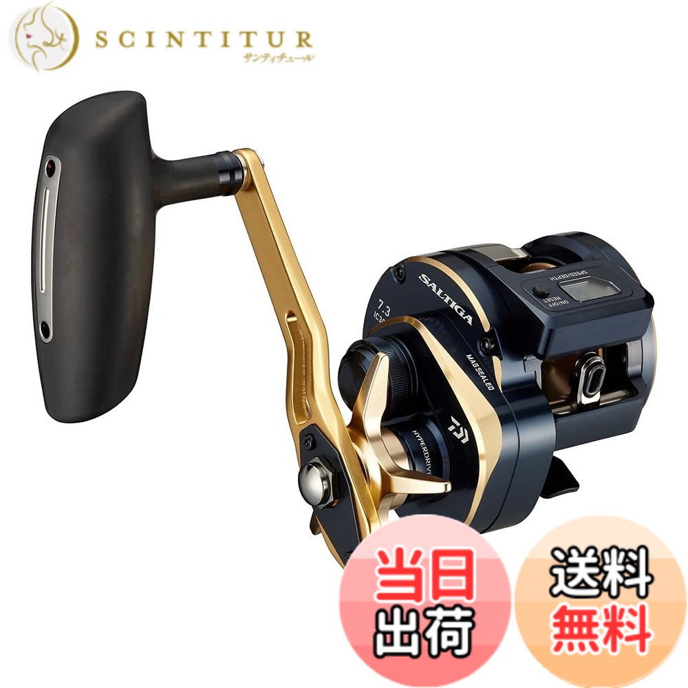 【送料無料】ダイワ(DAIWA) 21 ソルティガIC 300H-SJ｜サンティチュール