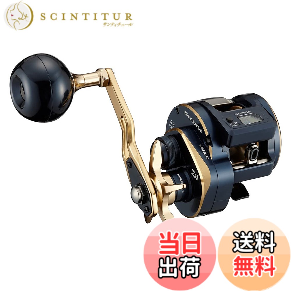 【送料無料】ダイワ(DAIWA) ジギング 21 ソルティガIC 300