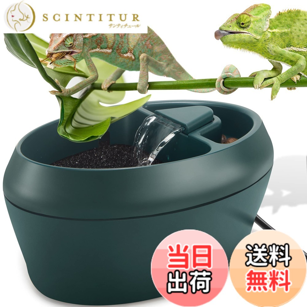 【送料無料】NEPTONION 爬虫類 カメレオン カンティーナ 噴水式給水機 爬虫類用水槽 -カメレオンやヤモリが水を飲む最高の方法, 交換用の予備ポンプが付属しています