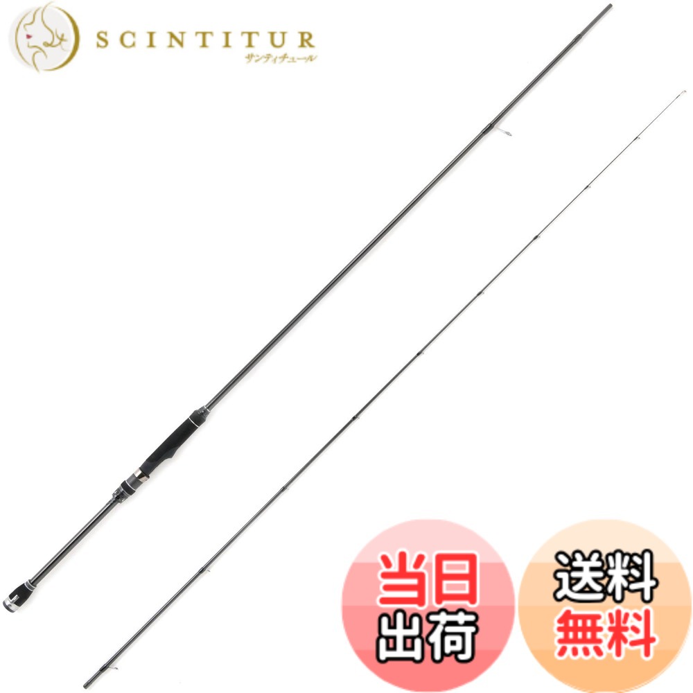 【送料無料】AbuGarcia (アブガルシア) ソルティーステージプロトタイプ エギング SaltyStageProtoType Egisys XEGS-882LML-S