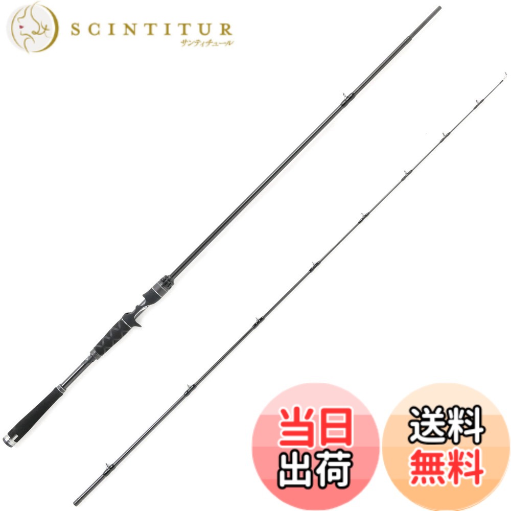 【貨物輸送無料】AbuGarcia (アブガルシア) ソルティーステージプロトタイプ シーバス SaltyStageProtoType Seabass XSBC-742X-BB