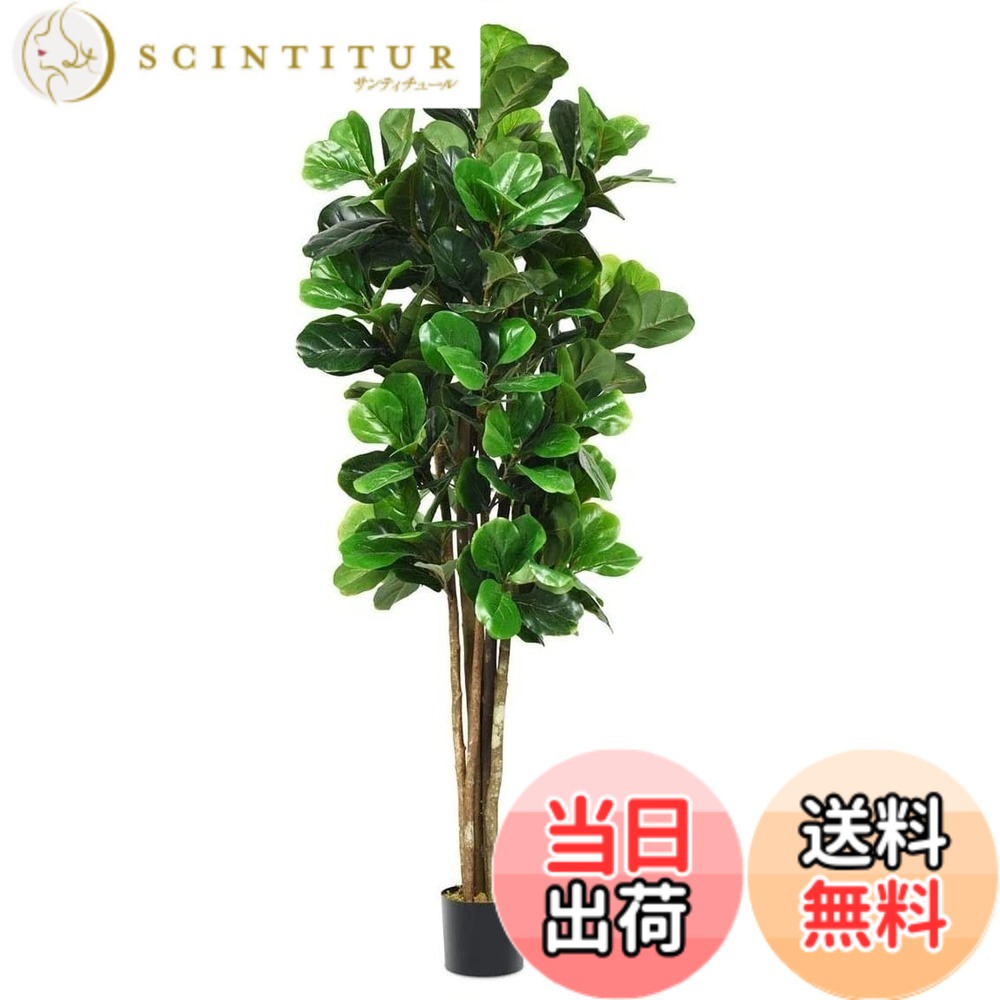 【送料無料】TANGKULA 観葉植物 フェイク 180cm 大型 フェイクグリーン 人工観葉植物 造花 インテリア 玄関 室内 屋外 フェイク植物 人工 観葉植物 観葉樹 引越し祝い 北欧 水やり不要 枯れない 盆栽植物 ガジュマル (ガジュマル180cm)