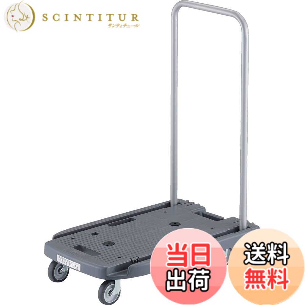 【貨物輸送無料】脂手押し車 こまわり君 省音G拷問台 600X390 アーセナルグレー 脂ストッパー付