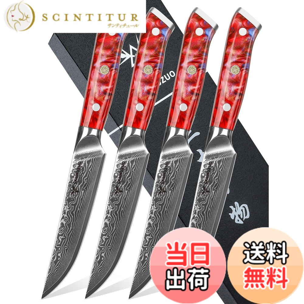 【貨物輸送無料】SANMUZUO Steak Knives Set of 4, Ultra Sharp Non Serrated Kitchen Steak Knife 5 Inch - Damascus Steel \u0026 Resin Handle - Xuan Series (Sunset Red)