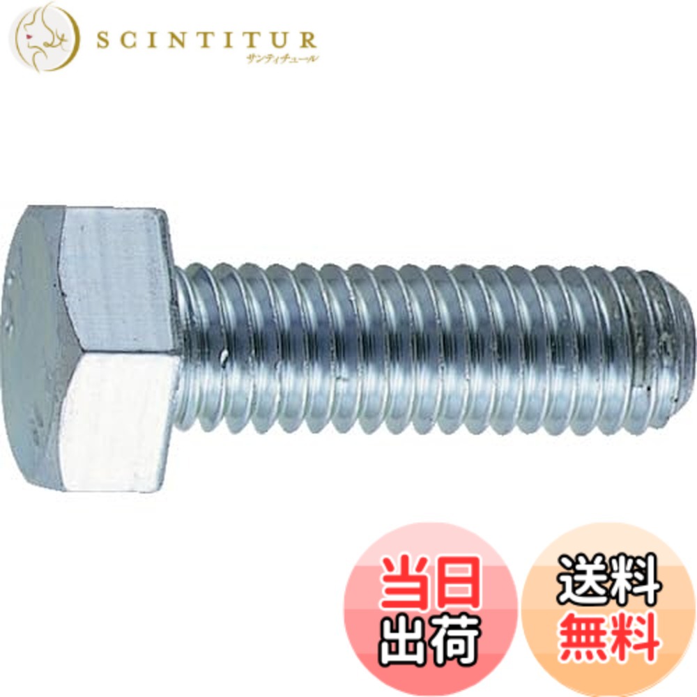 【貨物輸送無料】トラスコ中山(TRUSCO) 六角雄捩子 ユニクロ 全ねじ釘 B221645 M16x45 4本入 x 10容器に並べる x 【容れもの売りわたす】