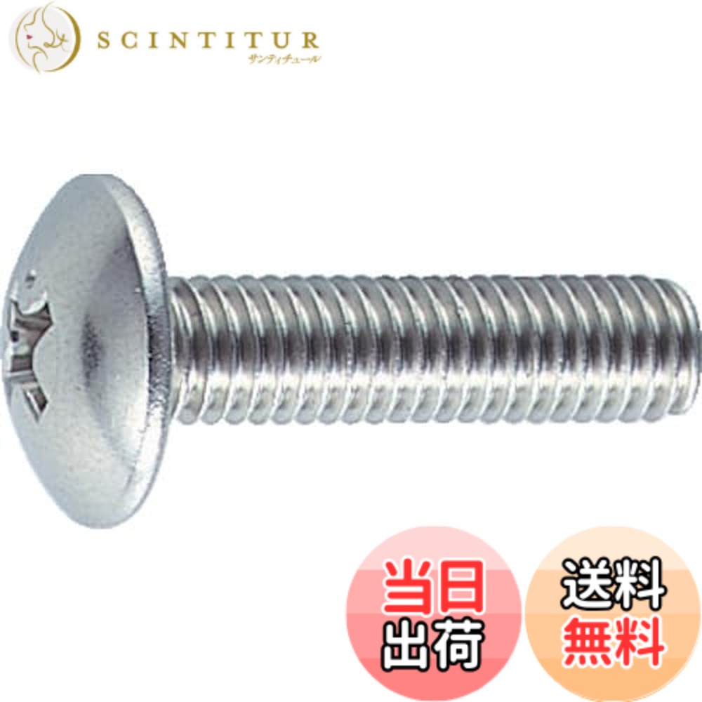 【送料無料】トラスコ中山(TRUSCO) トラス頭小ねじ ステンレス 全ネジ B520616 M6x16 32本入 x 10パック x 【ケース販売】|サンティチュール