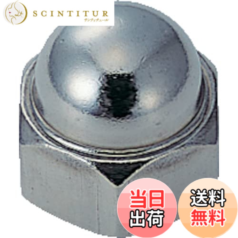 【貨物輸送無料】TRUSCO(トラスコ) 袋中毒者 ステンレス鋼 大いさM12x1.75 6個入 B40-0012 x 10 【容れもの売りわたす】