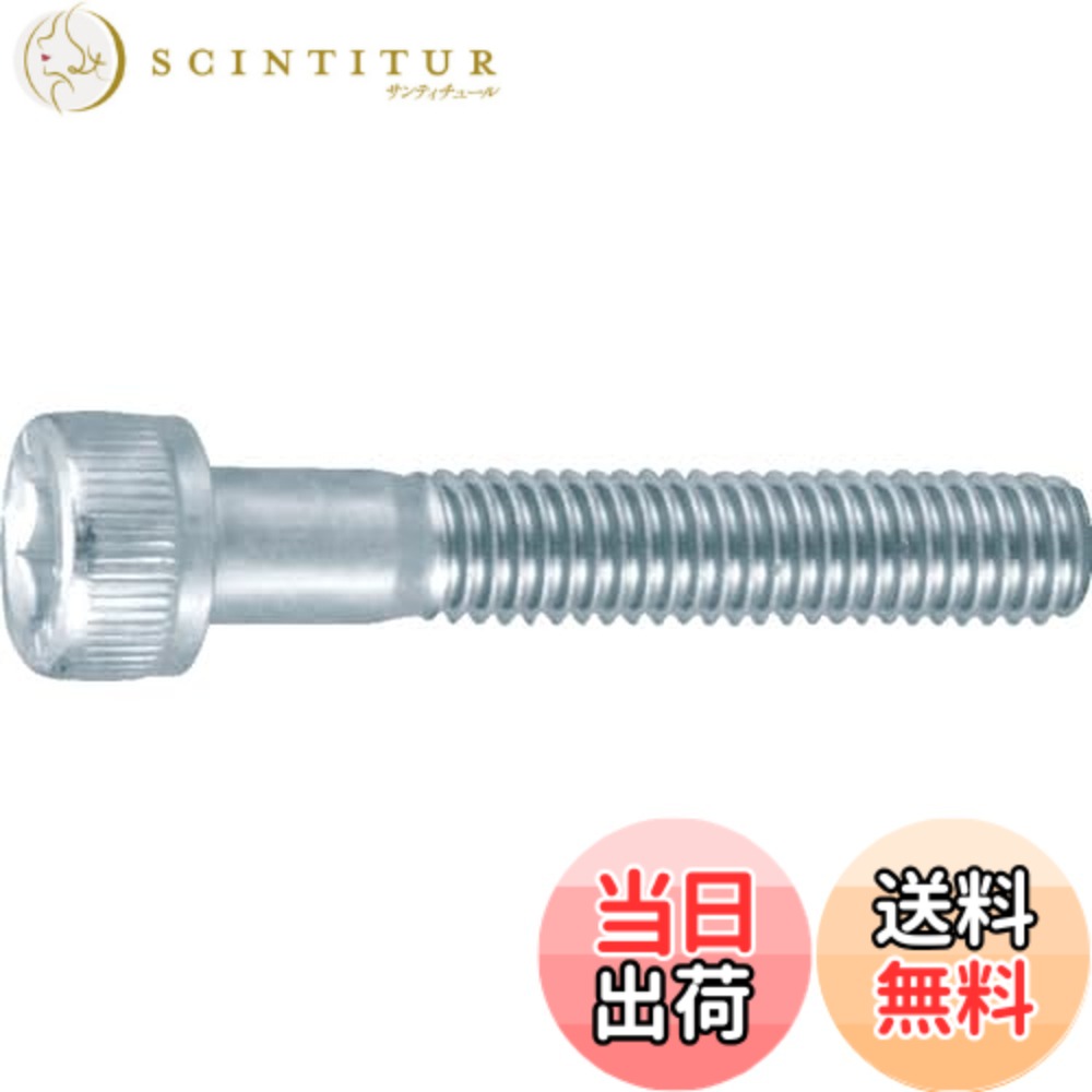 【貨物輸送無料】トラスコ中山(TRUSCO) 六角穴付雄捩子 半ねじ釘 B7300660 三価白 M6x60 6本入 x 10容器に並べる 【容れもの売りわたす】