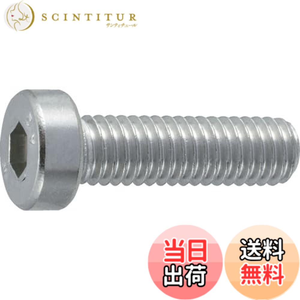 【送料無料】トラスコ中山(TRUSCO) 低頭六角穴付ボルト ステンレス全ネジ B0890512 M5x12 12本入 x 10パック 【ケース販売】