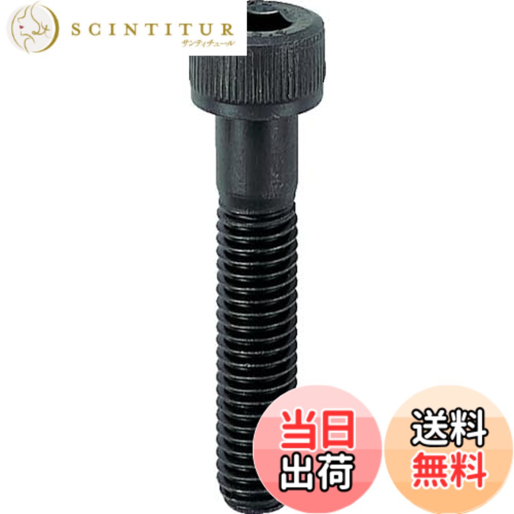【貨物輸送無料】トラスコ中山(TRUSCO) 六角穴付雄捩子 半ねじ釘 B301480 黒染め M14x80 3本入 x 10容器に並べる 【容れもの売りわたす】