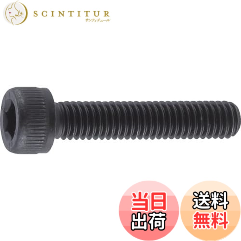 【送料無料】トラスコ中山(TRUSCO) 六角穴付ボルト 全ネジ B301025 黒染め M10x25 26本入 x 10パック 【ケース販売】