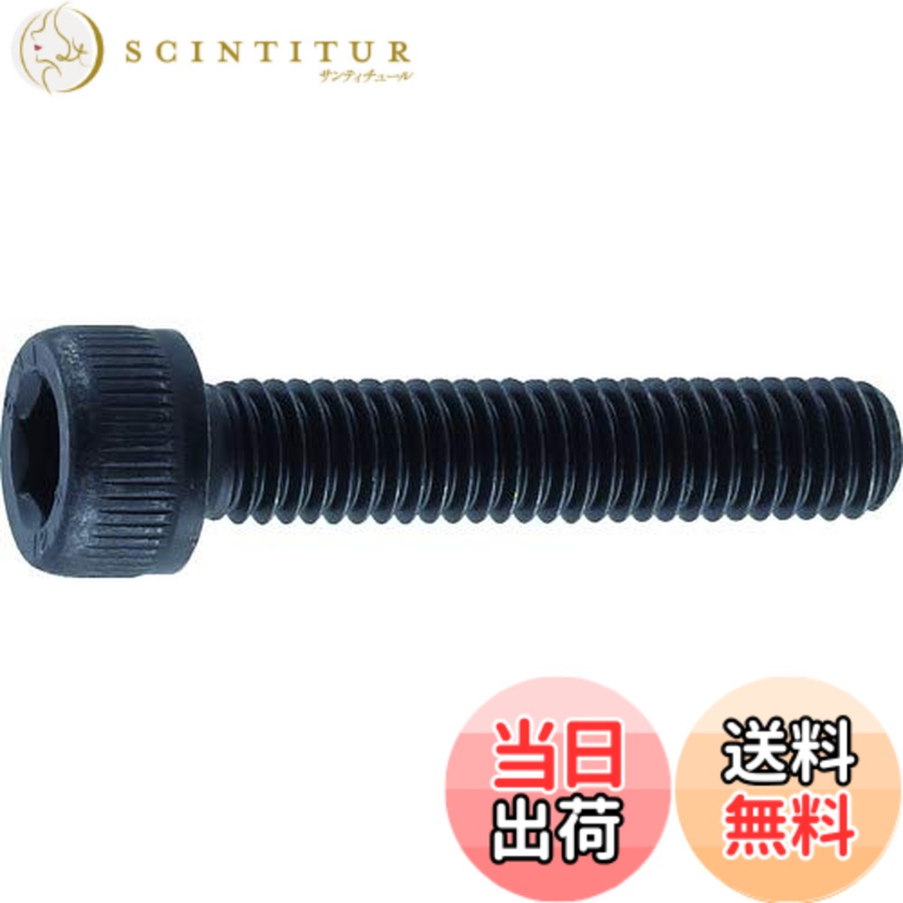 【貨物輸送無料】トラスコ中山(TRUSCO) 六角穴付雄捻子 全螺旋釘 B300203 黒染め M2x3 31本入 x 10容器に並べる 【入れもの売りわたす】