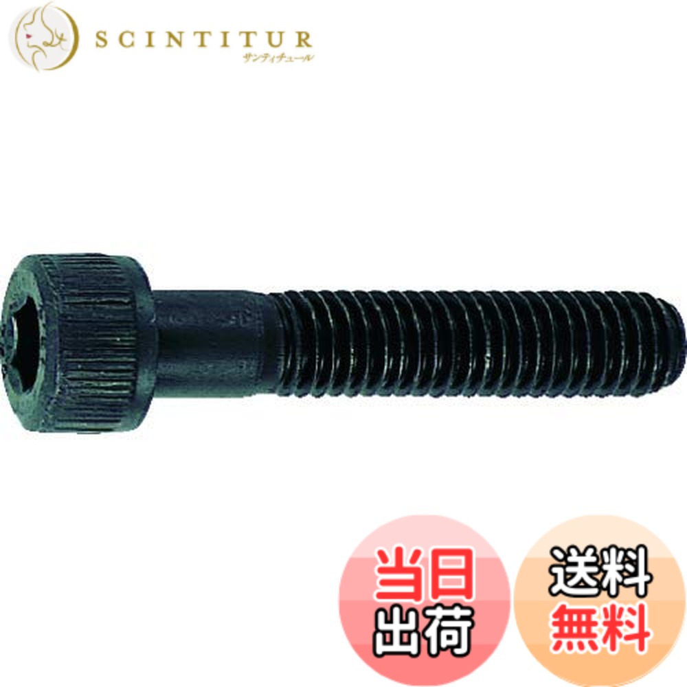 【貨物輸送無料】トラスコ中山(TRUSCO) 六角穴付雄捻子 半螺旋釘 B300325 黒染め M3x25 45本入 x 10容器に並べる 【入れもの売りわたす】