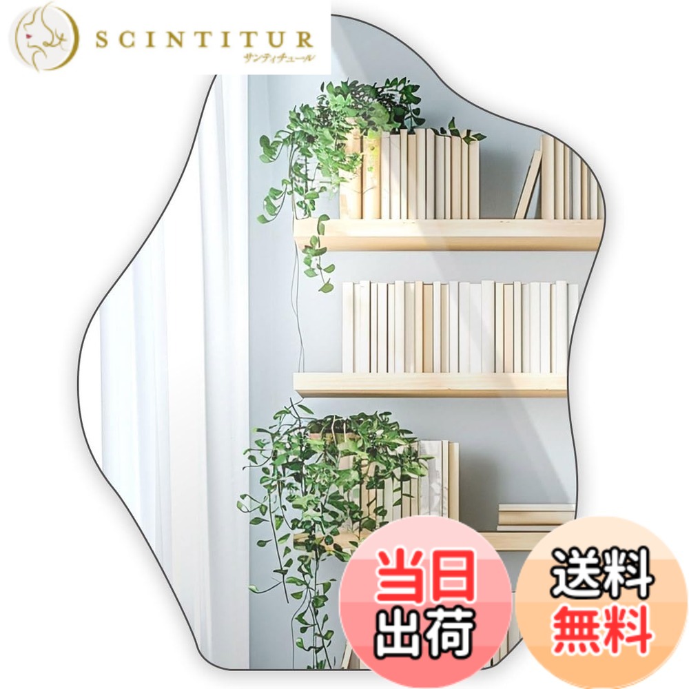 【送料無料】Telarana 鏡 全身鏡 姿見鏡 壁掛け スタンドミラー 銀メッキ 雲型鏡 不規則 おしゃれ 45 x56 x1.5 CM
