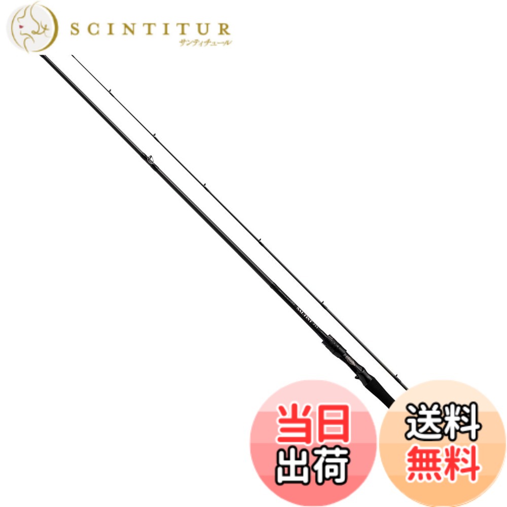 【送料無料】ダイワ(DAIWA) ルアーロッド ソルティスト 711MLB