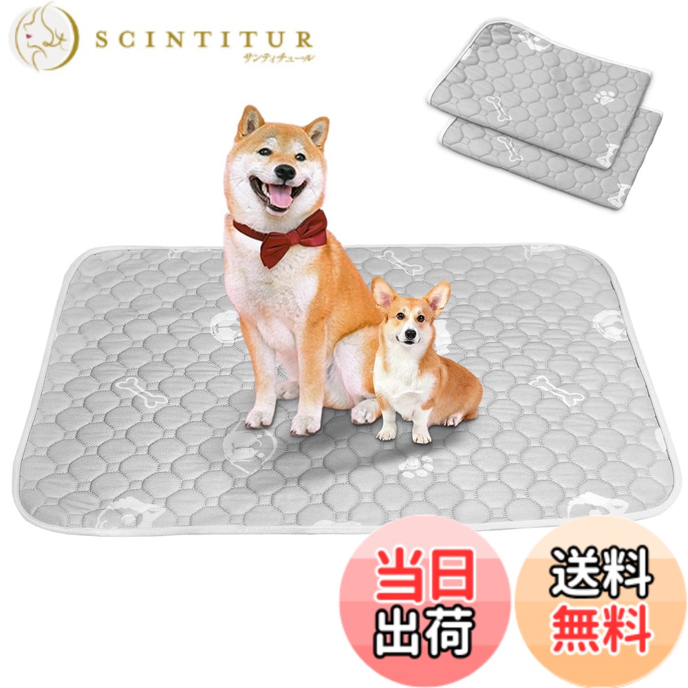 【送料無料】洗えるペットシーツ Toyuxe ペットシーツ 洗える 2枚セット 滑り止め 犬シーツワイド おしっこシート ペット ペットシーツ 消臭 ペット シーツ 洗える 丸ごと洗える 下敷きマット 四重構造 漏れ防止 速乾 滑り止め 中型 大型 犬・猫 犬用 おしっこパッド 丸
