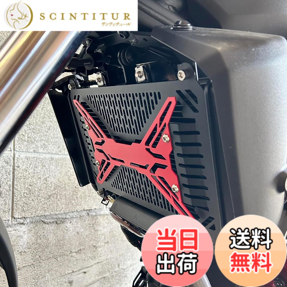 【送料無料】LEDISHUN ラジエーターコアガード カワサキ ニンジャ400 Z400(2018-2023) ニンジャ250 Z250(2019-2023)エリミネーター400(2023-) に適用 バイク用ラジエター・パーツ (ブラック)