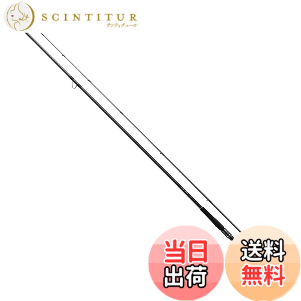 【送料無料】ダイワ(DAIWA) シーバスロッド モアザン WISEMEN 109M
