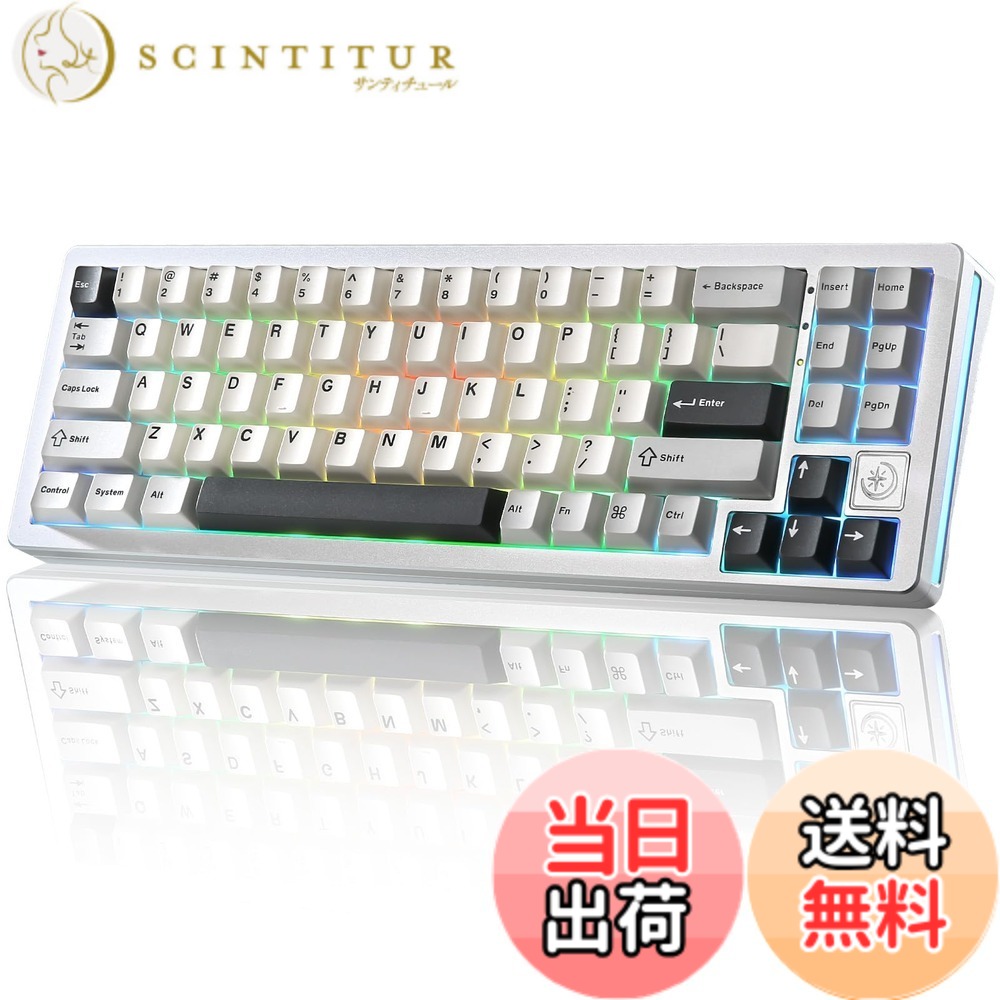 【送料無料】YUNZII AL71 メカニカルキーボード 68% コンパクト フルアルミCNC加工 ガスケット構造 [Bluetooth/2.4G/USB-C 三モード接続] ホットスワップ対応 NKRO RGBバックライト Win/Mac両対応 技適認証済み プレゼント対応（シルバー、クリスタルホワイトスイッチ） 14,879円