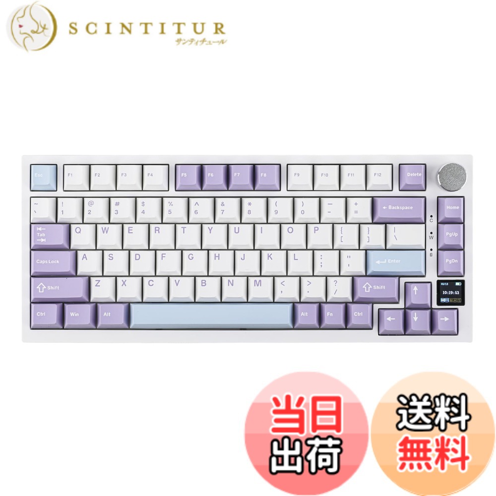 【送料無料】EPOMAKER Ajazz AK820 Pro ゲーミングキーボード 75% ガスケット搭載 メカニカルキーボード TFTスクリーン 3モード(Bluetooth 5.1/2.4Gワイヤレス&Type-C有線) 消音フォーム搭載 (White Purple - OEM Profile, Ajazz Gift Switch)