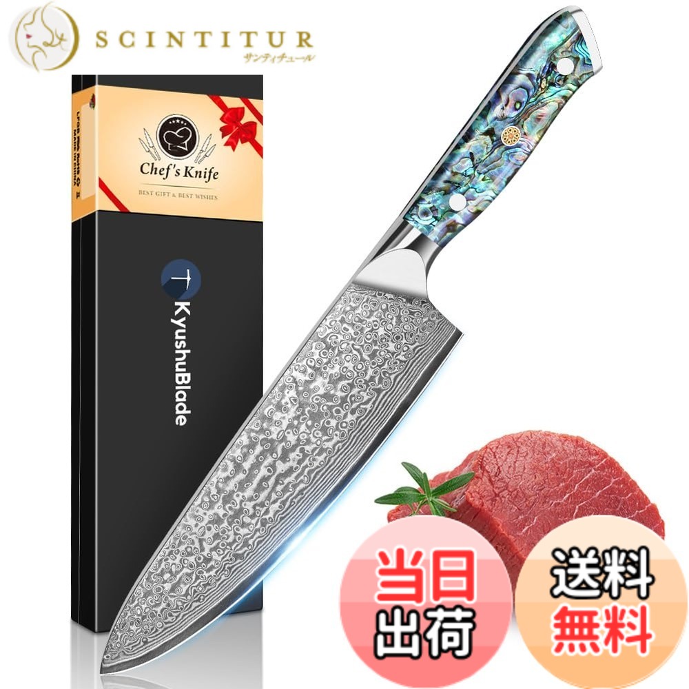【送料無料】KyushuBlade 包丁 牛刀包丁 ダマスカス包丁 刃渡り200mm. プロ用シェフナイフ 洋包丁, キッチン用万能包丁. 手打ち鍛造三徳包丁, 本物のダマスカス模様 両刃包丁 左利き用, 錆びにくい67層の高炭素ステンレス鋼 料理包丁. 深海アワビ貝＆天然樹脂ハンドル.