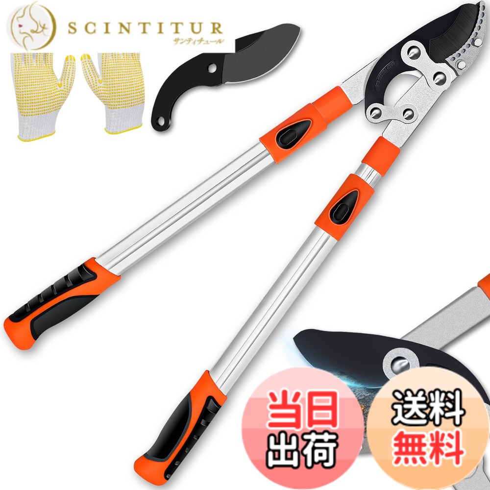 【送料無料】Eastbury 園芸用ばさみ 太枝切鋏 切断径55mm 強力型 SK5高炭素鋼刃 剪定ばさみ テコ式伸縮長さ69-103cｍ 高枝切りバサミ 趣味の園芸用品 樹木の剪定が簡単にできる園芸鋏・替刃付き鋏 樹の剪定 庭の剪定 木の剪定
