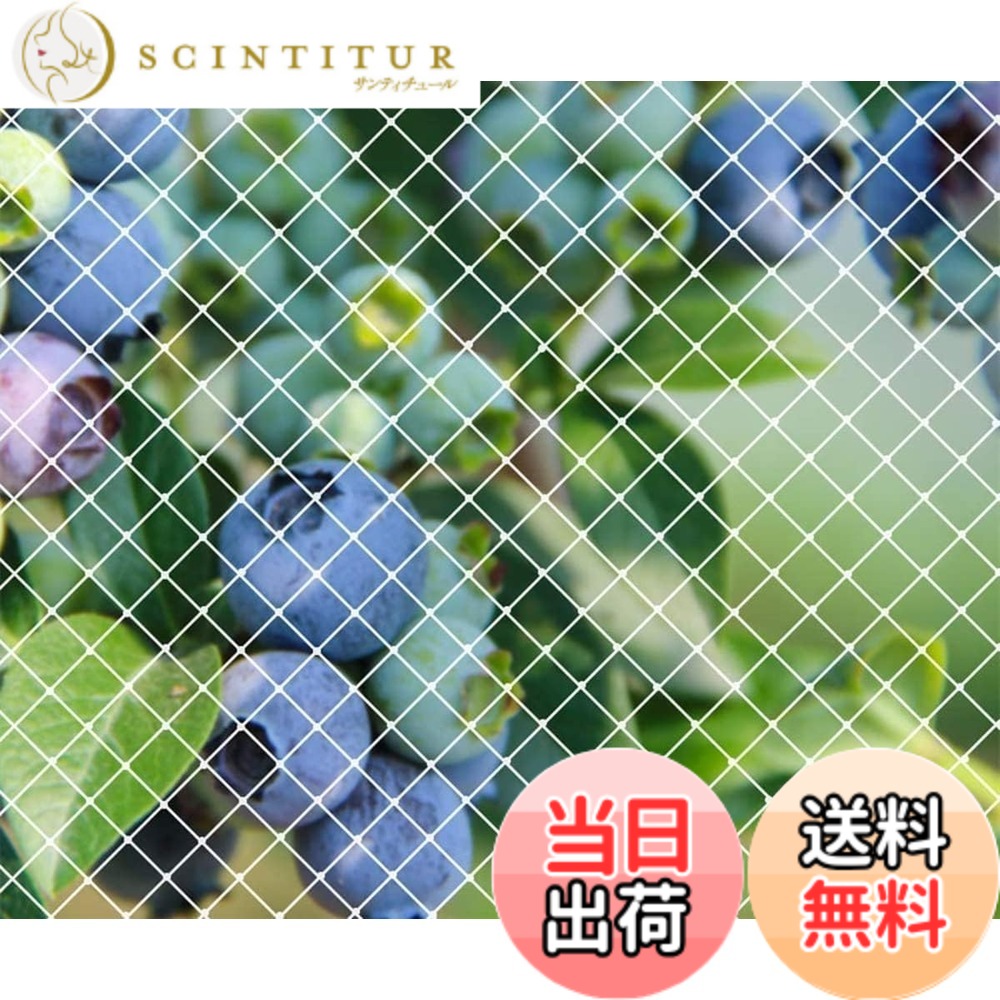 【送料無料】防鳥 ネット 鳥よけネット園芸つるネット 農業用品 家庭菜園ネット 田畑 [YANHAIDIDAI]果樹園 防鳥網 カラスよけ 鳩避けグッズ 果樹守りや防獣や防護ネット 猫脱走防止対策 ネット (5Mx10M)