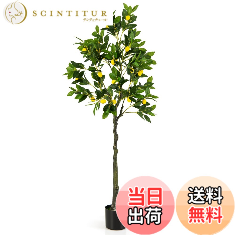 【送料無料】TANGKULA 観葉植物 フェイク 160cm レモンの木 フェイクグリーン 人工観葉植物 造花 インテリア 室内 屋外 フェイク植物 人工 観葉植物 水やり不要 枯れない 盆栽植物 (160cm-レモン)