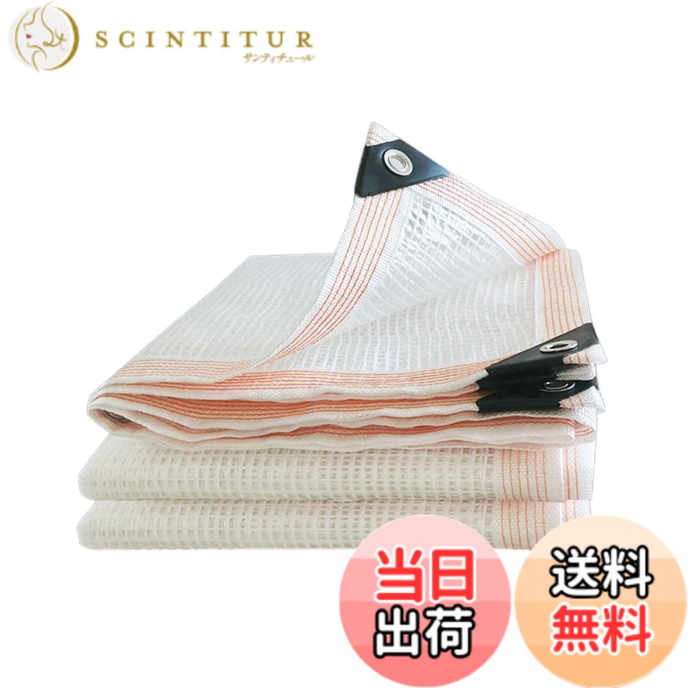 【送料無料】晨陽小店 防水シート 4M*5M 透明 白 屋外 屋根 厚手 ビニールシート 両面防水 防雨 防風 多肉 植物 猫犬ペットを守ります 内蔵メッシュ繊維強化ロープた HDPE製