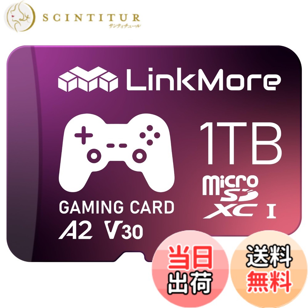 【貨物輸送無料】LinkMore XV23 PRO 1結核症 A2V30 MicroSDXC 歌留多 Switch相応う SDアダプタ付【最大限度読み込む170MB/s】