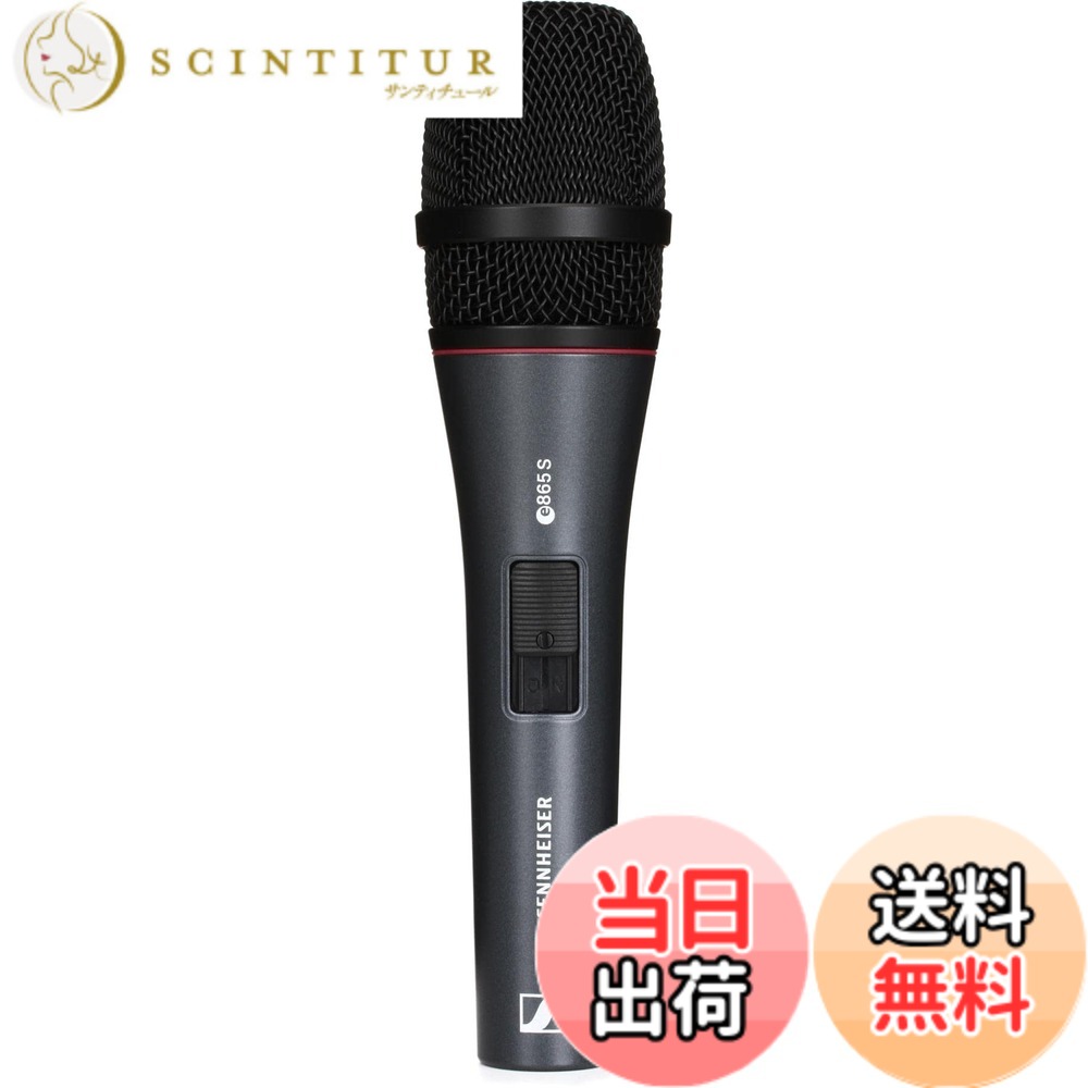 【貨物輸送無料】Sennheiser ゼンハイザー e 800 続きもの 色：濃灰色