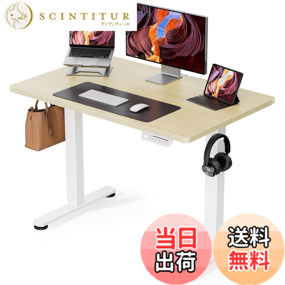 【送料無料】ErGear 電動 オフィスワークテーブル 色:ナチュラル木目調(天板) / 白(足)、サイズ:100*60cm|サンティチュール